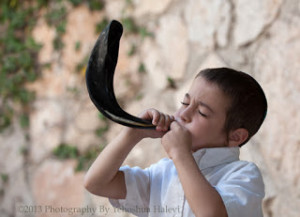 shofar6127